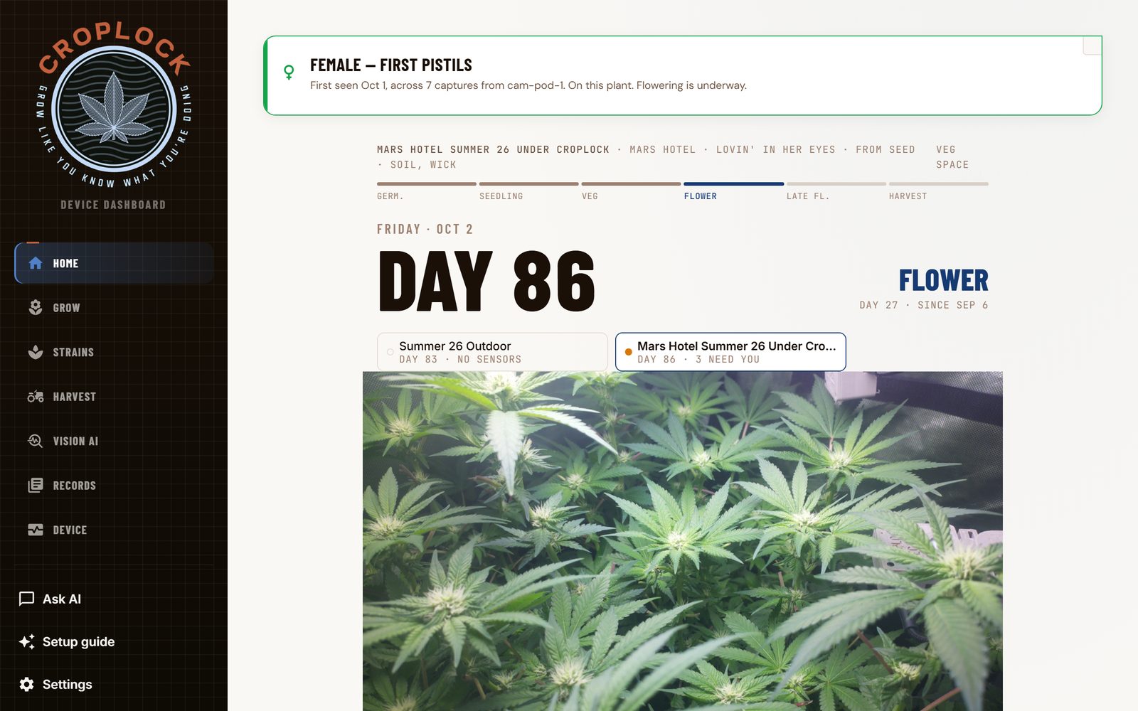 The Croplock device dashboard's Home page, laid out as today's page of a grow journal. A running head names the grow, its cultivar and its space over a six-segment phase spine with FLOWER live. A notice across the top reads FEMALE, FIRST PISTILS: first seen Oct 1 across 7 captures, flowering is underway. A large folio reads FRIDAY · OCT 2, DAY 86, with FLOWER · DAY 27 · SINCE SEP 6 at the right. Under it a strip of the two living grows, one marked 3 NEED YOU, then this morning's camera frame of the flowering canopy filling the width.